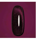 Гель-лак Dark Cat Eye 04, 10 мл