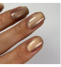 Гель-лак Dark Cat Eye 14, 10 мл