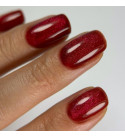 Гель-лак Dark Cat Eye 16, 10 мл