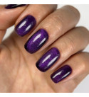 Гель-лак Dark Cat Eye 17, 10 мл