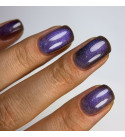Гель-лак Dark Cat Eye 19, 10 мл