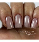Гель-лак Dark Cat Eye 11, 10 мл