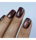 Гель-лак Dark Night Cat Gel Polish 10, 10 мл