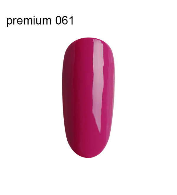 Гель Лак Premium №061