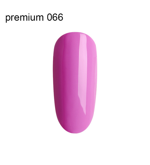 Гель Лак Premium №066
