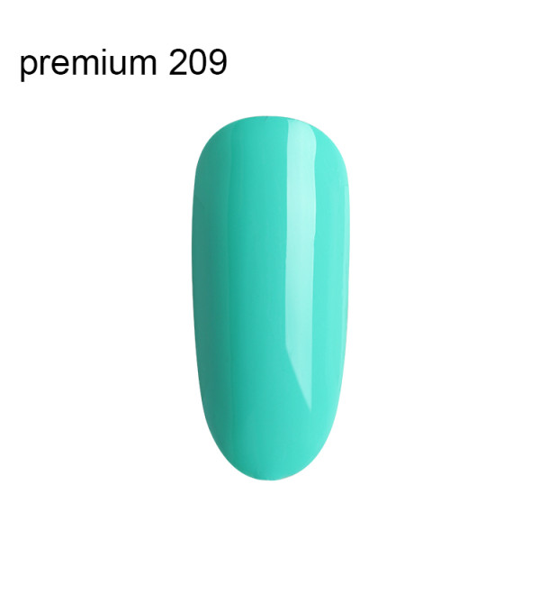 Гель Лак Premium №209