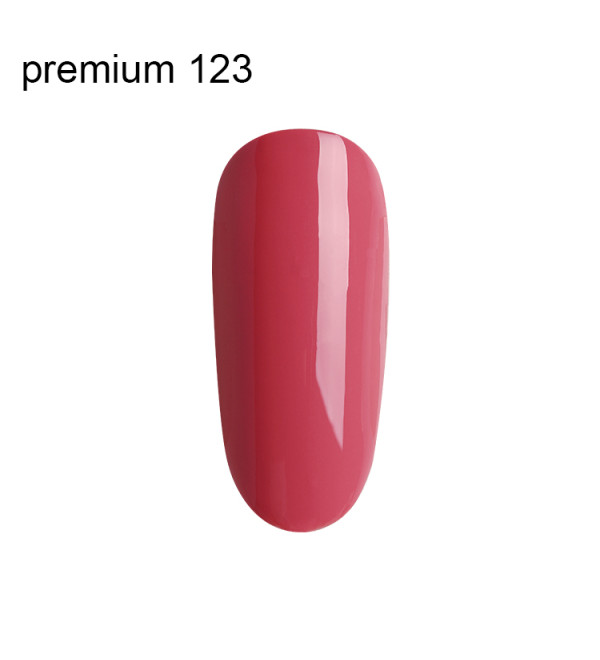 Гель Лак Premium №123