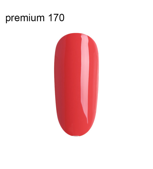 Гель Лак Premium №170