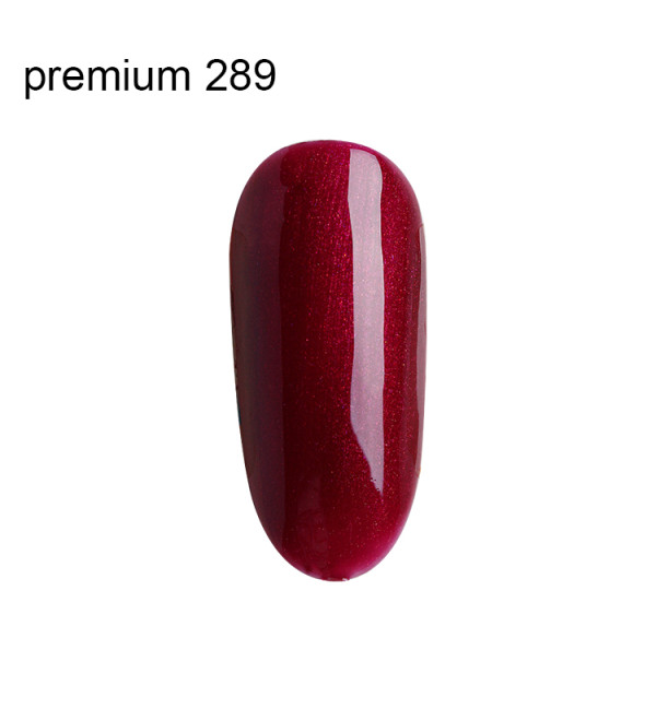 Гель Лак Premium №289