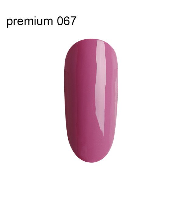 Гель Лак Premium №067