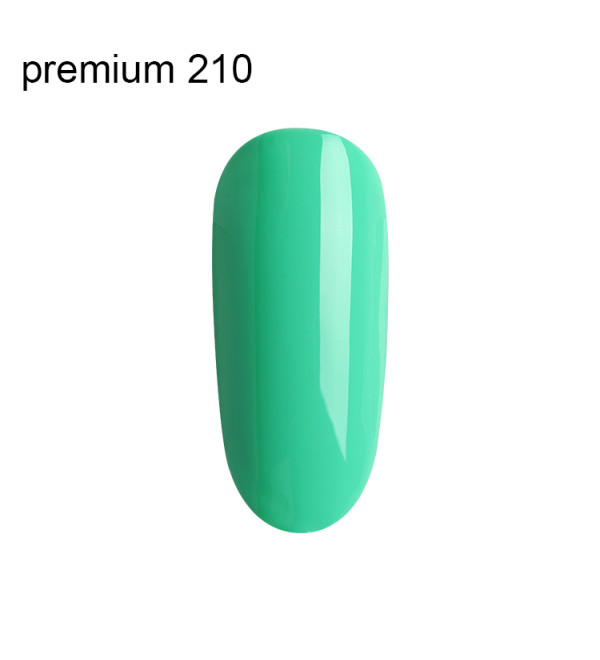 Гель Лак Premium №210
