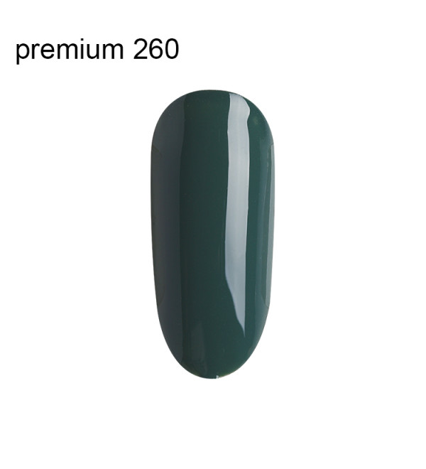 Гель Лак Premium №260