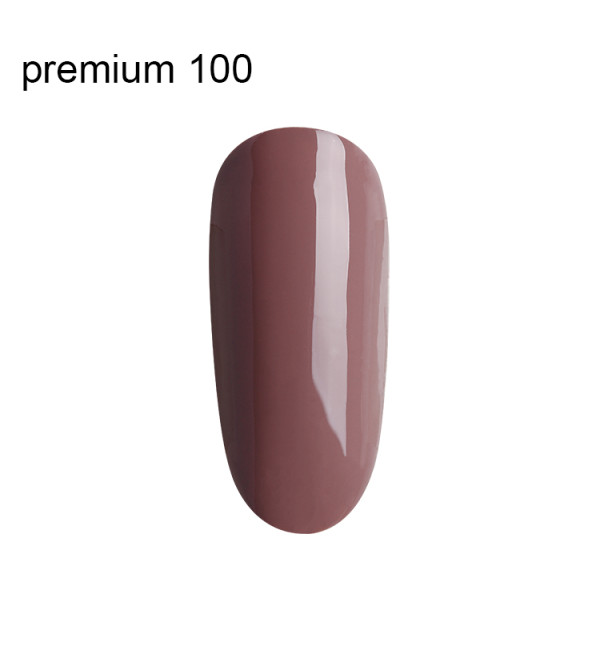Гель Лак Premium №100