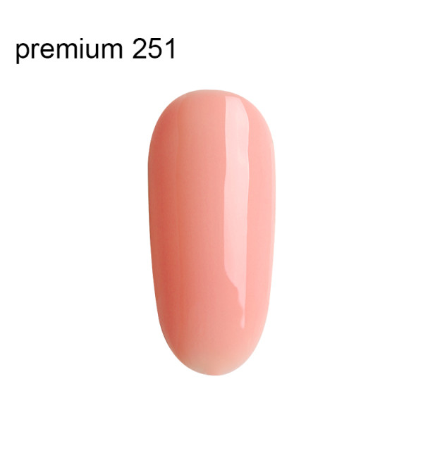 Гель Лак Premium №251