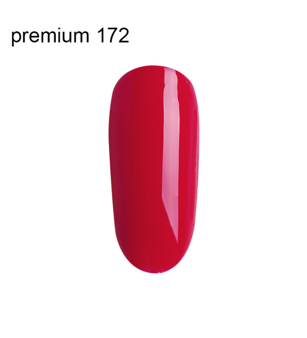 Гель Лак Premium №172