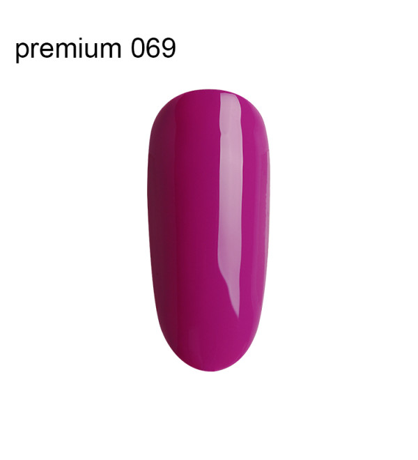 Гель Лак Premium №069