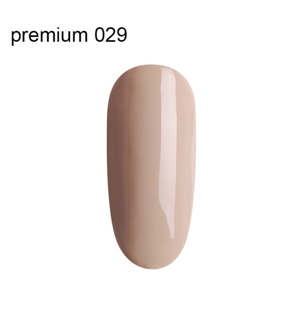 Гель Лак Premium №029