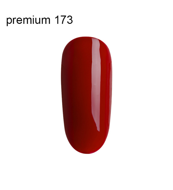 Гель Лак Premium №173