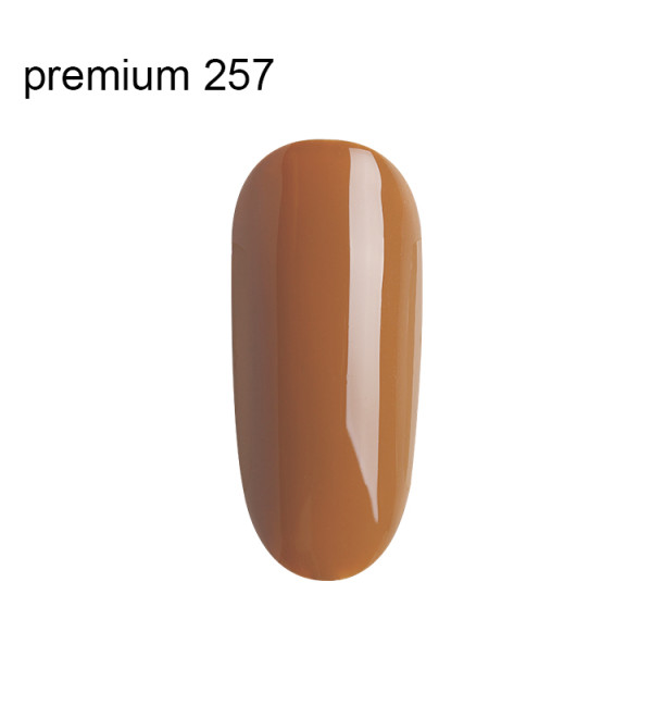Гель Лак Premium №257